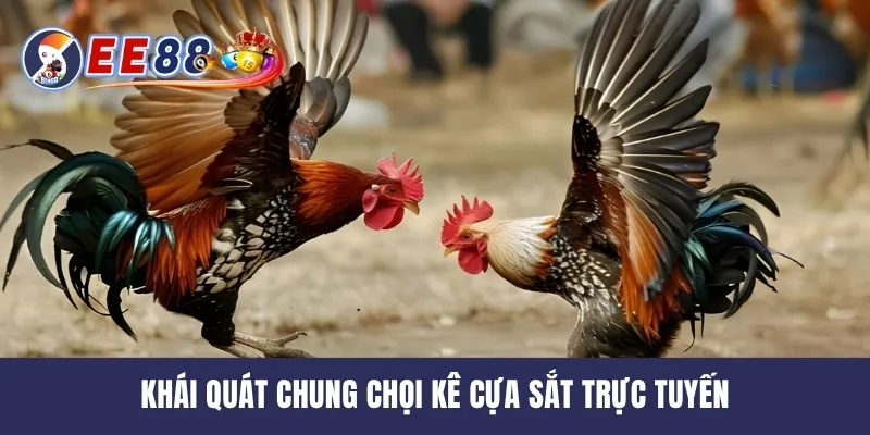 Khái quát chung chọi kê cựa sắt trực tuyến